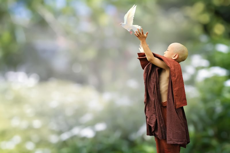 Loving-kindness